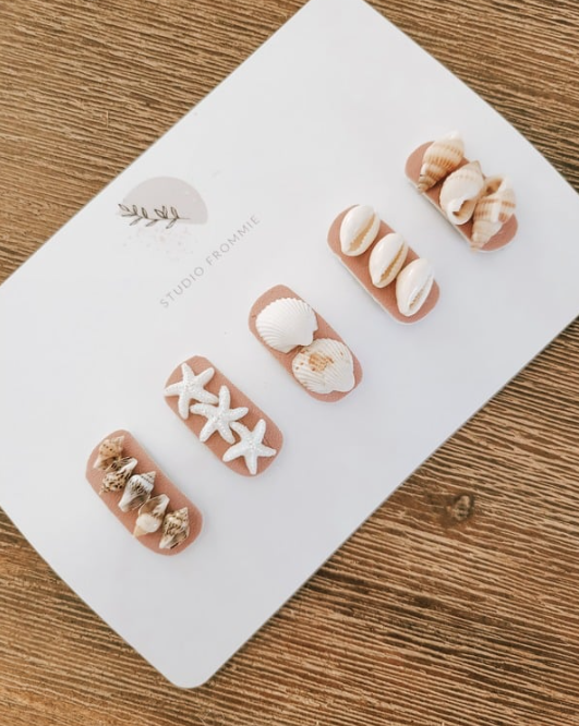 Shells Hair Clips